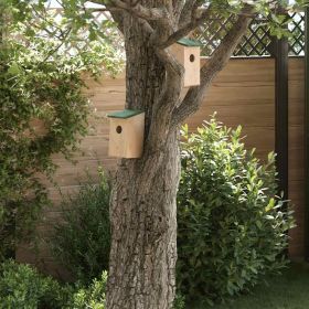 Bird House Set of 10 Wood Solid Firwood Small Hanging mounting